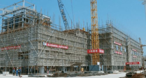 2020年度崇明區(qū)政府實事項目重點建筑工程完成情況綜述